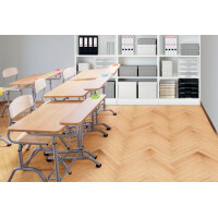 Esselte Aufbewahrungsbox Home L, 3er Set, weiß