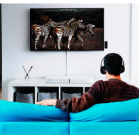 LogiLink Bluetooth 5.1 Audio Transmitter, schwarz