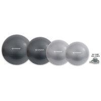 SCHILDKRÖT Gymnastikball, Durchmesser: 550 mm, silber
