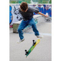 SCHILDKRÖT Skateboard Bigflip 31" Splash