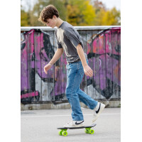 SCHILDKRÖT Retro Skateboard Native Red