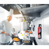 REINOLD MAX Feuerlösch-Spray "STOP FIRE",...