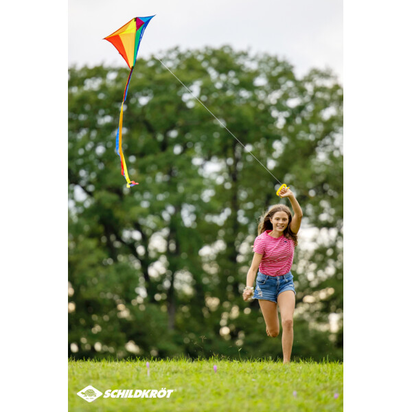 SCHILDKRÖT Lenkdrache Classic Kite 70 "Crazy Bird"