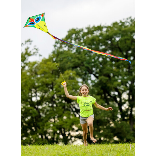SCHILDKRÖT Lenkdrache Classic Kite 70 "Crazy Bird"