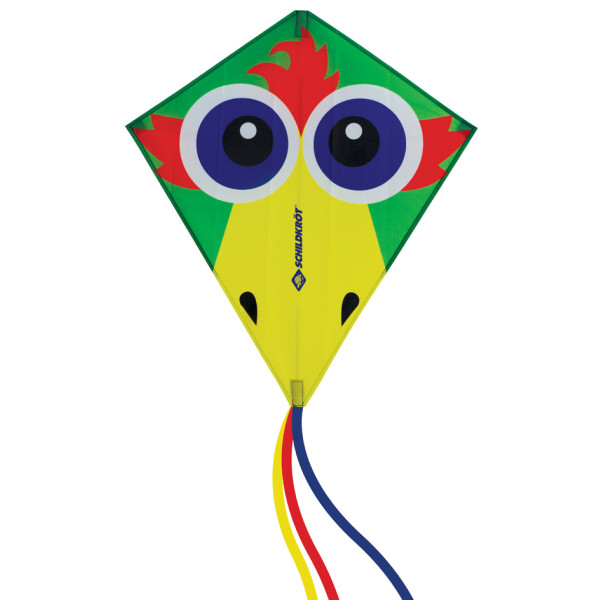 SCHILDKRÖT Lenkdrache Classic Kite 70 "Crazy Bird"