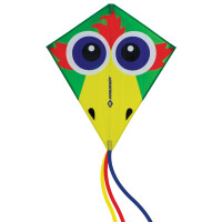 SCHILDKRÖT Lenkdrache Classic Kite 70 "Crazy Bird"