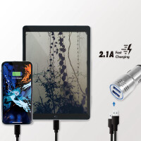 LogiLink USB-KFZ-Ladegerät, 2-fach, integrierter...