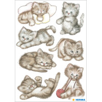HERMA Sticker DECOR "Drolliges Kätzchen"