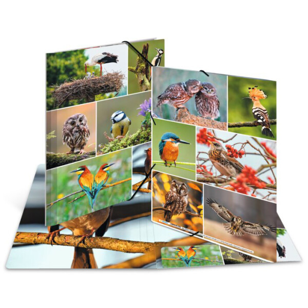 HERMA Eckspannermappe "Waldtiere", Karton, DIN A3