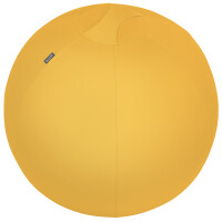 LEITZ Sitzball Ergo Cosy, Durchmesser: 650 mm, grau