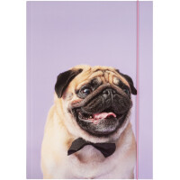 folia Zeichnungsmappe BASIC "Puggy Love",...