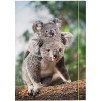 folia Zeichnungsmappe BASIC "Jungle Cuties",...