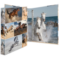 HERMA Ringbuch "Hunde", DIN A4, 4-Ring-Mechanik