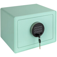 phoenix Einbruchschutz-Tresor DREAM Home Safe, pink