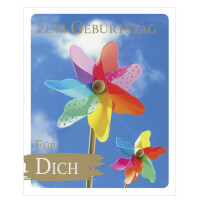 SUSY CARD Geburtstagskarte Snapshot "Wimpelkette"