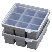 APS Eiswürfeldose mit Deckel, transparent grau, 2er Set