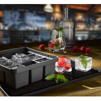 APS Eiswürfeldose mit Deckel, transparent grau, 2er Set