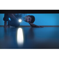ANSMANN LED-Taschenlampe Daily Use 150B, silber schwarz