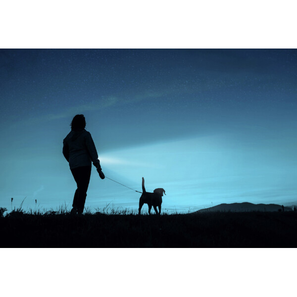 ANSMANN LED-Taschenlampe Daily Use 300B, silber schwarz