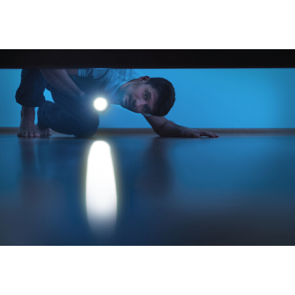 ANSMANN LED-Taschenlampe Daily Use 300B, silber schwarz