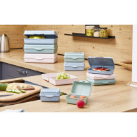 keeeper Brotdose "luca" Click-Box midi, nordic-pink