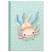 RNK Verlag Notizbuch "Axolotl", DIN A5, 96...