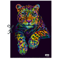 RNK Verlag Zeichnungsmappe "Neon", Karton, DIN A2