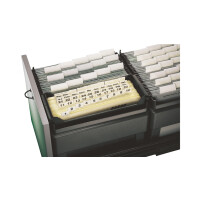 LEITZ Einstellmappe, mit Reiter, A4, chamois