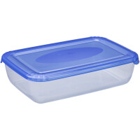 plast team Gefrierdose Polar, 0,45 Liter, grau, rechteckig