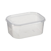plast team Gefrierdose Helsinki 1,5 Liter, rechteckig