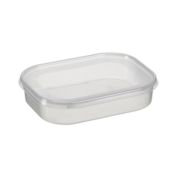 plast team Gefrierdose Helsinki, 0,7 Liter, rechteckig