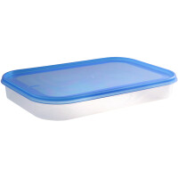 plast team Gefrierdose Helsinki, 0,7 Liter, rechteckig