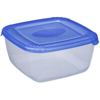 plast team Gefrierdose Polar, 0,95 Liter, grau, quadratisch