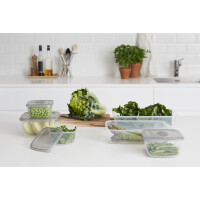 plast team Gefrierdose Polar, 0,45 Liter, blau, rechteckig