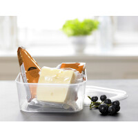 plast team Gefrierdose Helsinki, 4,6 Liter, quadratisch