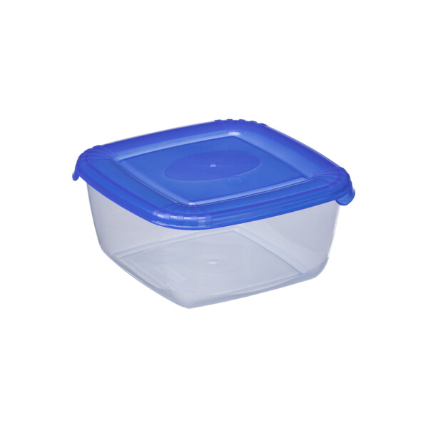 plast team Gefrierdose Polar, 1,5 Liter, blau, quadratisch