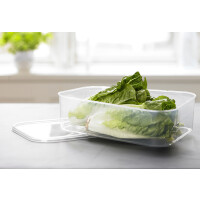 plast team Gefrierdosen-Set Helsinki, 0,7 Liter, 2er Set