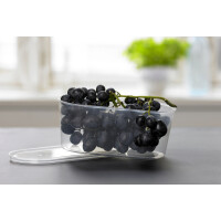 plast team Gefrierdose Helsinki, 0,8 Liter, oval