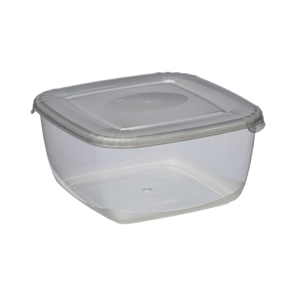 plast team Gefrierdose Polar, 0,46 Liter, blau, quadratisch