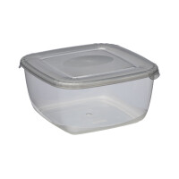 plast team Gefrierdose Polar, 0,46 Liter, blau, quadratisch