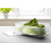 plast team Gefrierdosen-Set Helsinki, 1,4 Liter, 2er Set