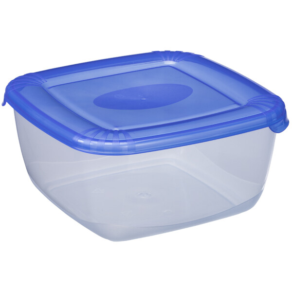 plast team Gefrierdose Polar, 2,5 Liter, blau, quadratisch