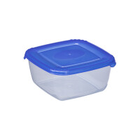 plast team Gefrierdose Polar, 2,5 Liter, blau, quadratisch