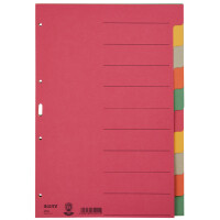 LEITZ Karton-Register extrastark, blanko, A4, 6-teilig, grau