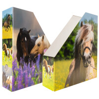 HERMA Stehsammler "Fußball", DIN A4,...