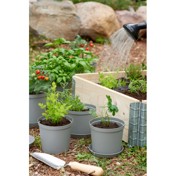 orthex Blumentopf CULTIVATE, Durchmesser: 270 mm, grau