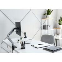 DURABLE Monitorarm SELECT PLUS, für 1 Monitor, Klemme