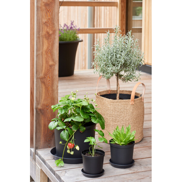 orthex Blumentopf CULTIVATE, Durchmesser: 270 mm, schwarz