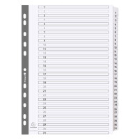 EXACOMPTA Karton-Register 1-20, DIN A4, weiß, 20-teilig