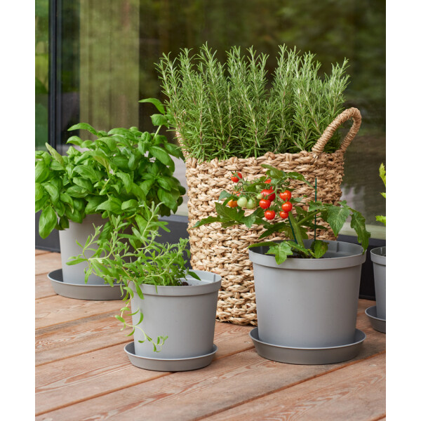 orthex Blumentopf CULTIVATE, Durchmesser: 300 mm, grau